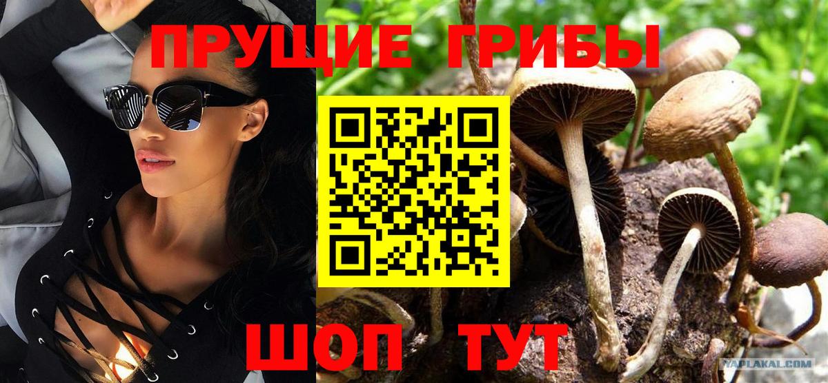 Псилоцибиновые грибы прущие грибы Хабаровск